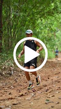 BIB:  <button type="button" onclick="openModal(26805644)" class="btn btn-primary btn-sm float-right" data-toggle="modal" data-target=".modal-high-quality">
                <i class="fa fa-download"></i> Download
                </button>